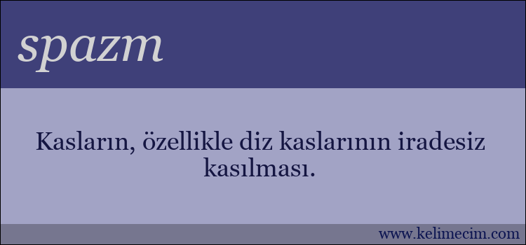 spazm kelimesinin anlamı ne demek?