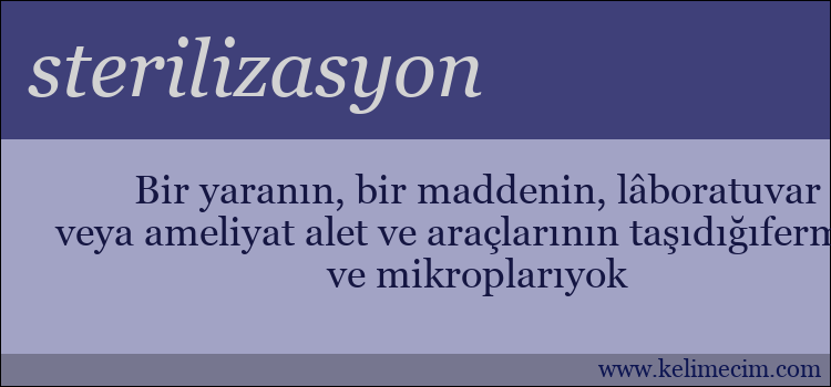 sterilizasyon kelimesinin anlamı ne demek?