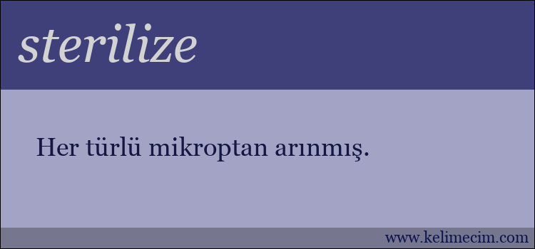 sterilize kelimesinin anlamı ne demek?