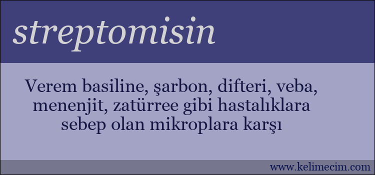 streptomisin kelimesinin anlamı ne demek?