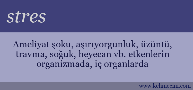 stres kelimesinin anlamı ne demek?