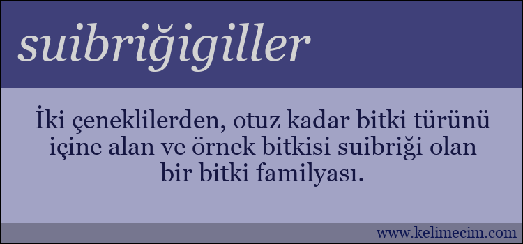 suibriğigiller kelimesinin anlamı ne demek?