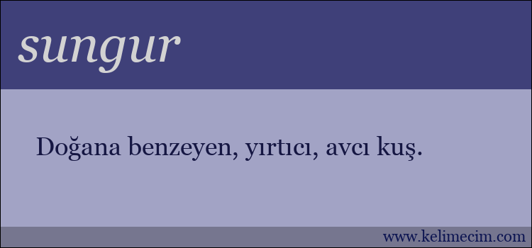 sungur kelimesinin anlamı ne demek?