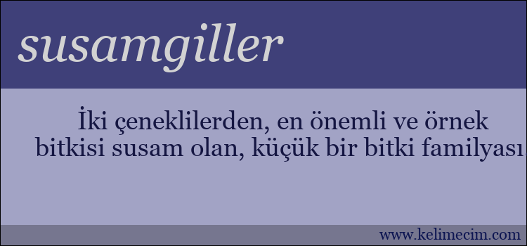 susamgiller kelimesinin anlamı ne demek?