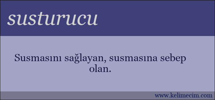 susturucu kelimesinin anlamı ne demek?