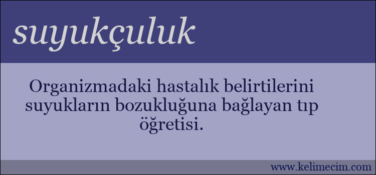 suyukçuluk kelimesinin anlamı ne demek?