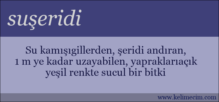 suşeridi kelimesinin anlamı ne demek?