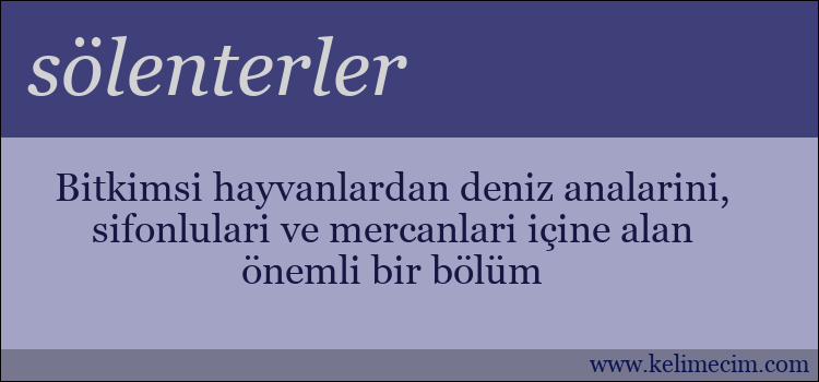 sölenterler kelimesinin anlamı ne demek?