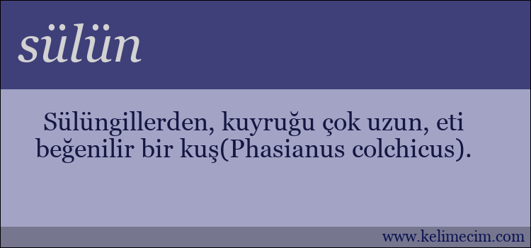 sülün kelimesinin anlamı ne demek?