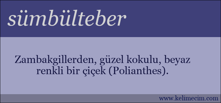 sümbülteber kelimesinin anlamı ne demek?