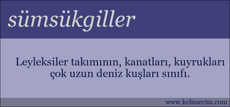 sümsükgiller kelimesinin anlamı ne demek?