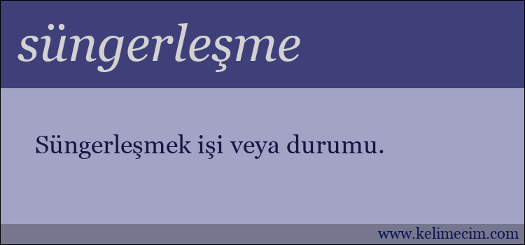 süngerleşme kelimesinin anlamı ne demek?