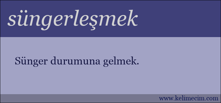 süngerleşmek kelimesinin anlamı ne demek?