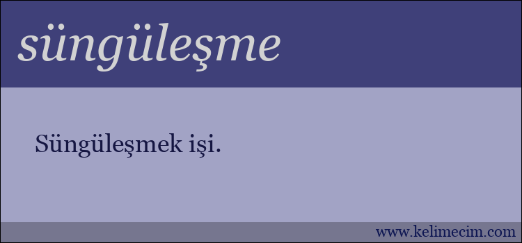 süngüleşme kelimesinin anlamı ne demek?