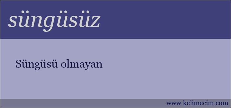 süngüsüz kelimesinin anlamı ne demek?