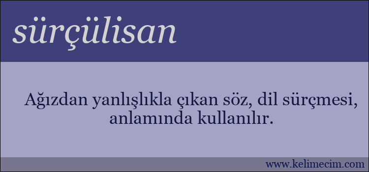 sürçülisan kelimesinin anlamı ne demek?