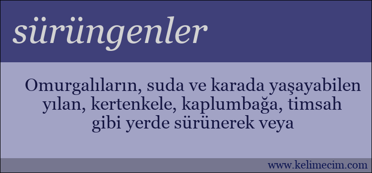 sürüngenler kelimesinin anlamı ne demek?