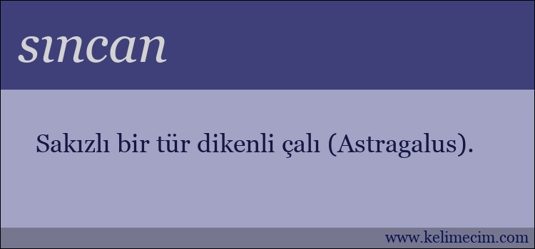 sıncan kelimesinin anlamı ne demek?