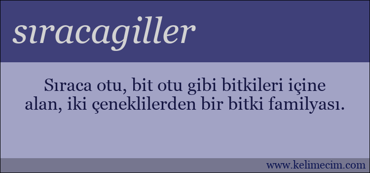 sıracagiller kelimesinin anlamı ne demek?