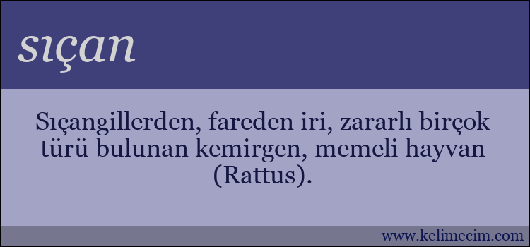 sıçan kelimesinin anlamı ne demek?