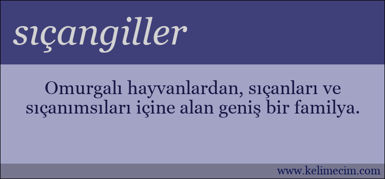 sıçangiller kelimesinin anlamı ne demek?