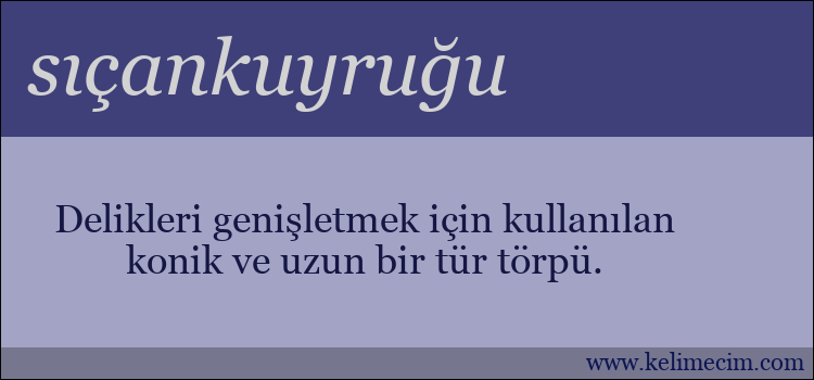 sıçankuyruğu kelimesinin anlamı ne demek?