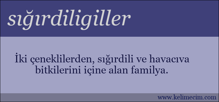 sığırdiligiller kelimesinin anlamı ne demek?