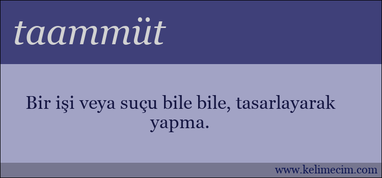 taammüt kelimesinin anlamı ne demek?