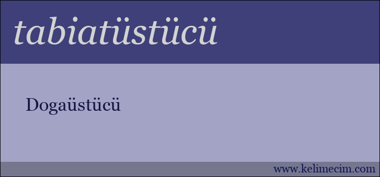 tabiatüstücü kelimesinin anlamı ne demek?