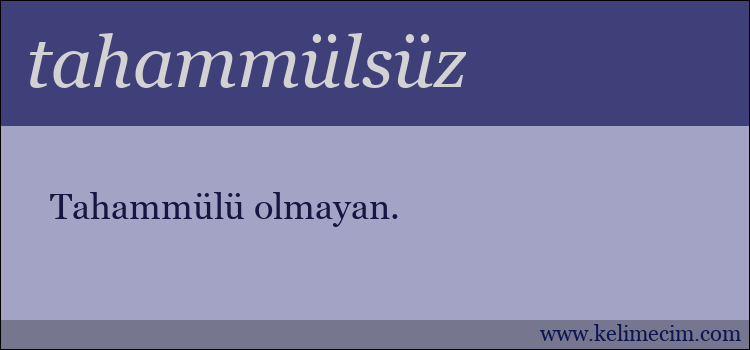 tahammülsüz kelimesinin anlamı ne demek?