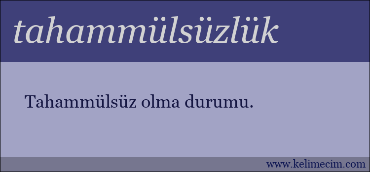 tahammülsüzlük kelimesinin anlamı ne demek?