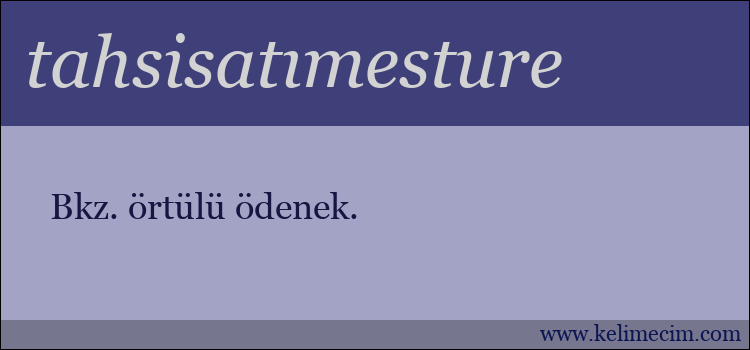 tahsisatımesture kelimesinin anlamı ne demek?