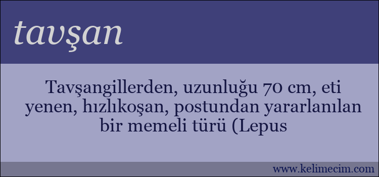 tavşan kelimesinin anlamı ne demek?