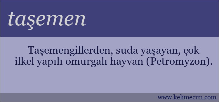 taşemen kelimesinin anlamı ne demek?