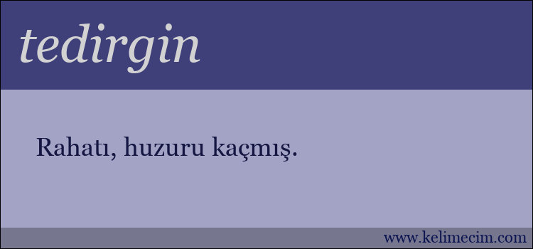 tedirgin kelimesinin anlamı ne demek?