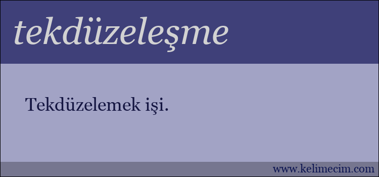 tekdüzeleşme kelimesinin anlamı ne demek?