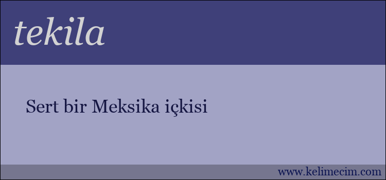 tekila kelimesinin anlamı ne demek?