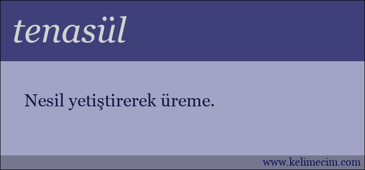 tenasül kelimesinin anlamı ne demek?