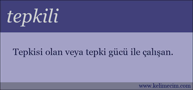 tepkili kelimesinin anlamı ne demek?