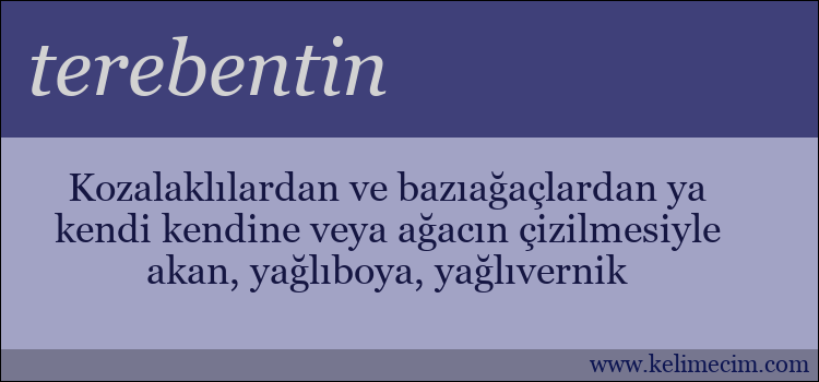 terebentin kelimesinin anlamı ne demek?