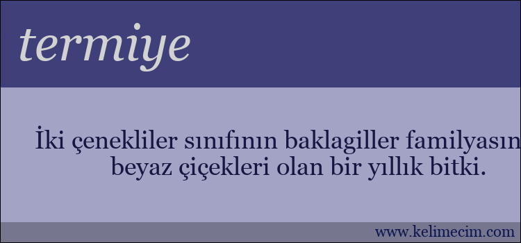 termiye kelimesinin anlamı ne demek?