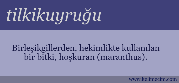 tilkikuyruğu kelimesinin anlamı ne demek?