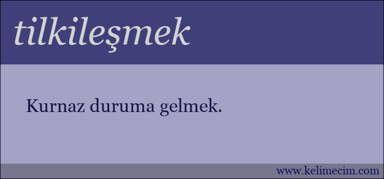 tilkileşmek kelimesinin anlamı ne demek?