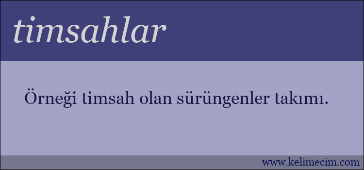 timsahlar kelimesinin anlamı ne demek?