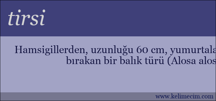 tirsi kelimesinin anlamı ne demek?