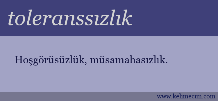 toleranssızlık kelimesinin anlamı ne demek?