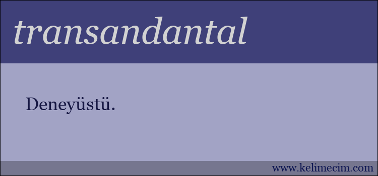 transandantal kelimesinin anlamı ne demek?