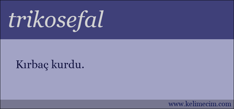 trikosefal kelimesinin anlamı ne demek?