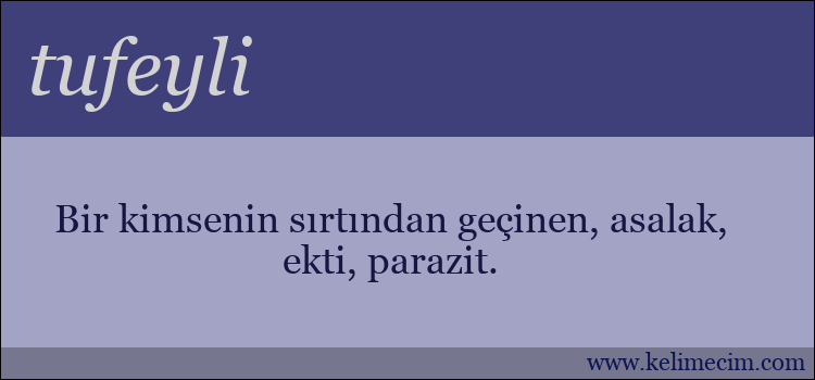 tufeyli kelimesinin anlamı ne demek?