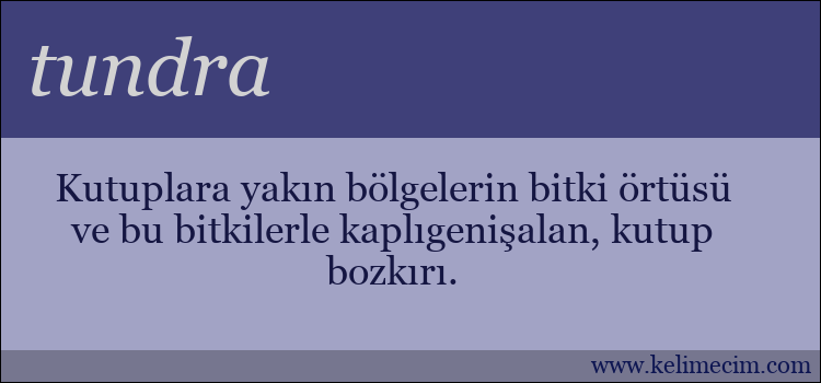 tundra kelimesinin anlamı ne demek?